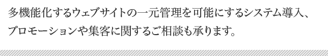 多機能化するウェブサイトの管理を可能にするシステム導入やプロモーションに関するご相談も承ります。